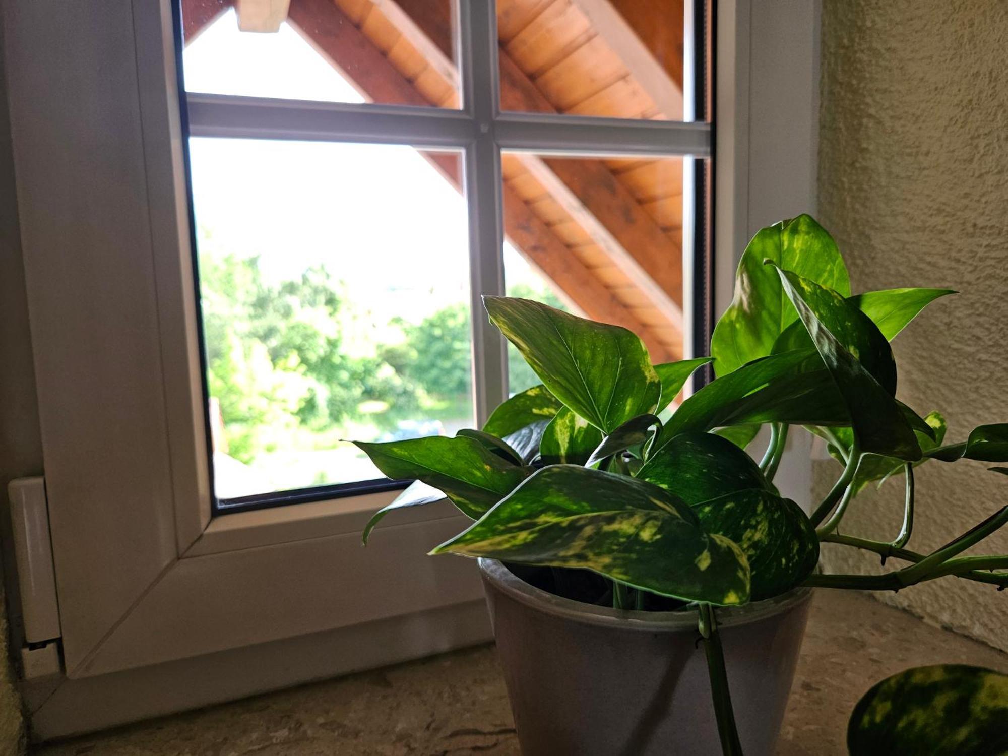 Service Appartement Weigl Nittenau 외부 사진